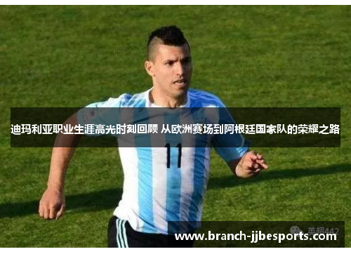 迪玛利亚职业生涯高光时刻回顾 从欧洲赛场到阿根廷国家队的荣耀之路