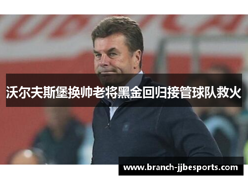 沃尔夫斯堡换帅老将黑金回归接管球队救火