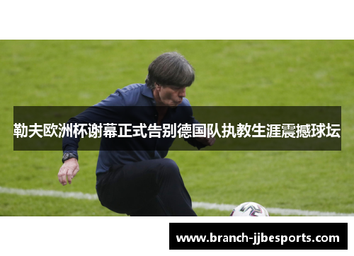 勒夫欧洲杯谢幕正式告别德国队执教生涯震撼球坛